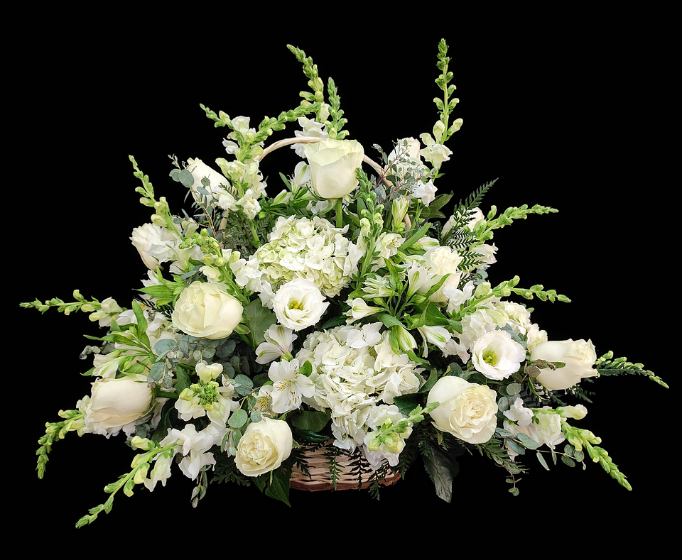 Gran cesta mixta blanca de dragonarias y rosas 1