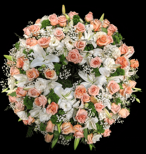 Corona Premium Pastel