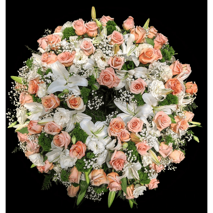 Corona Premium Pastel 1