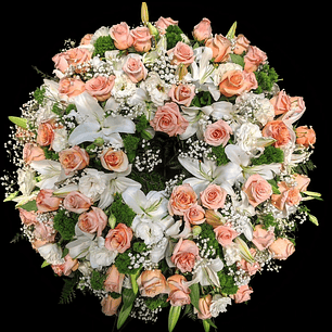 Corona Premium Pastel