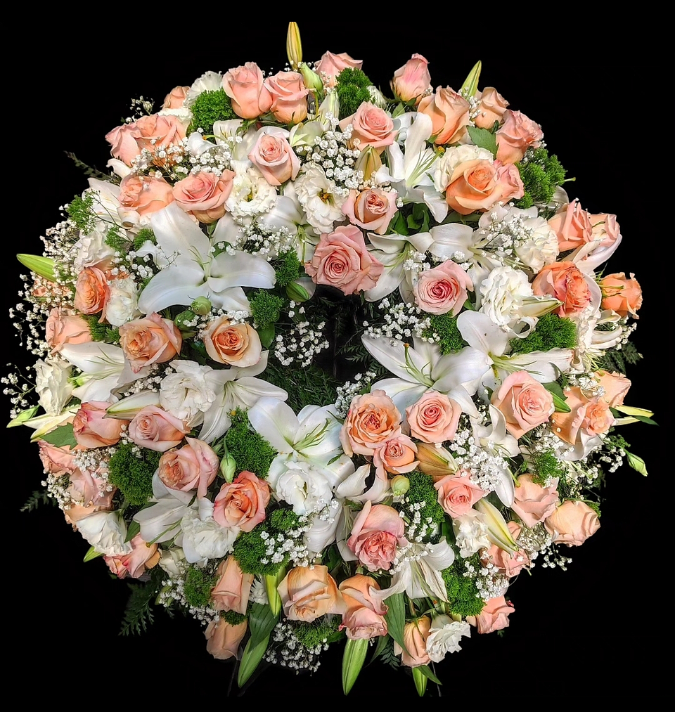 Corona Premium Pastel 1