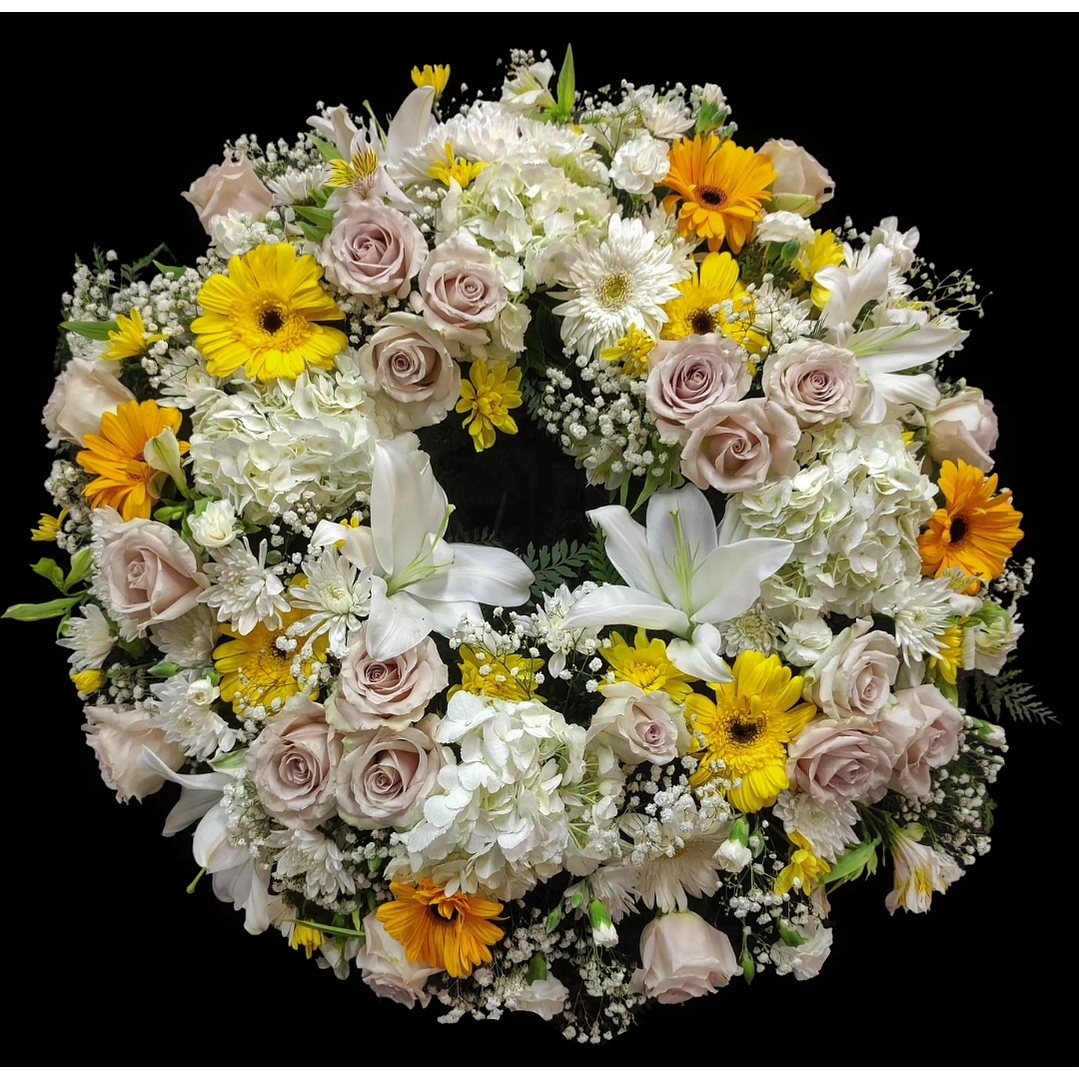 Corona Premium Arena y amarillo. 1