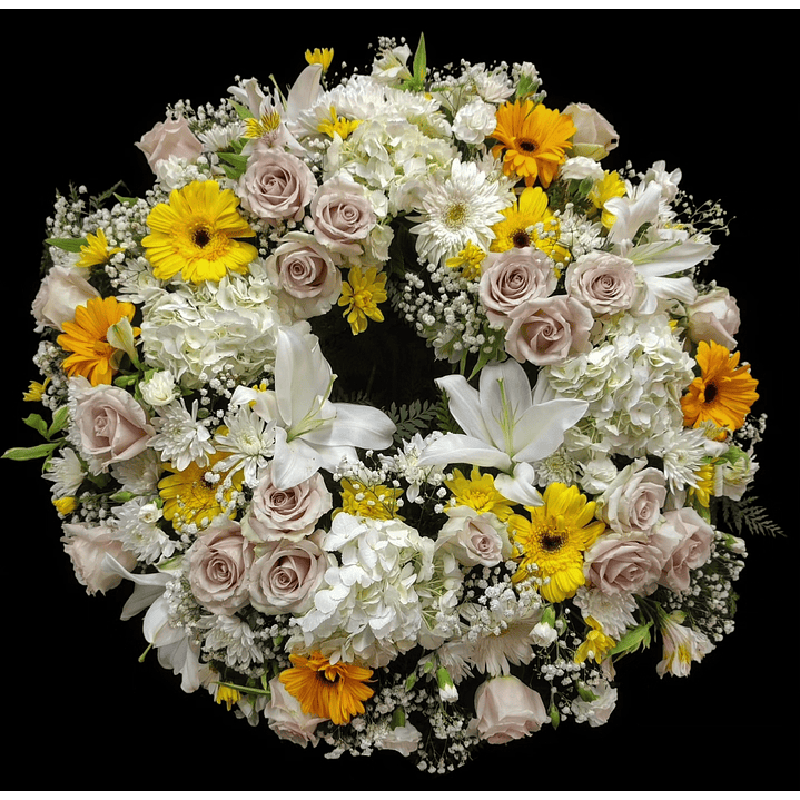 Corona Premium Arena y amarillo. 1