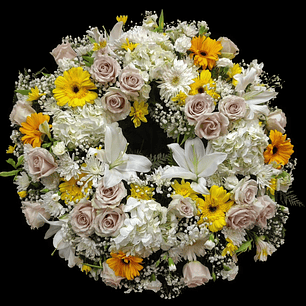 Corona Premium Arena y amarillo.