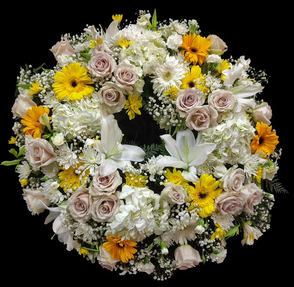 Corona Premium Arena y amarillo. 1