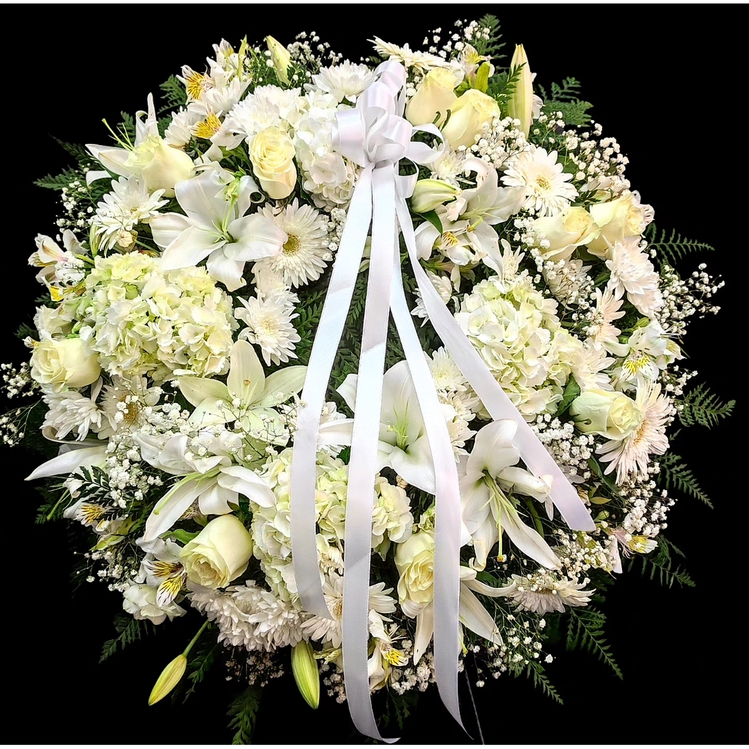 Corona Premium Blanca 1