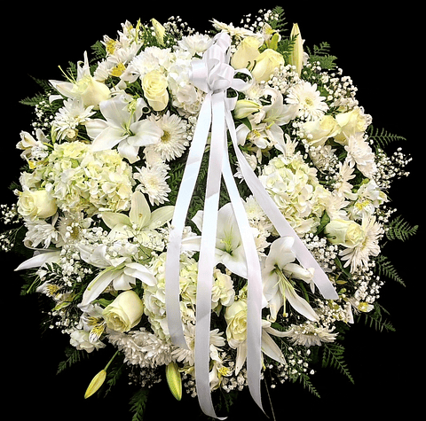 Corona Premium Blanca