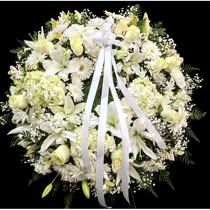 Corona Premium Blanca 1