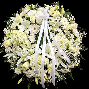 Corona Premium Blanca