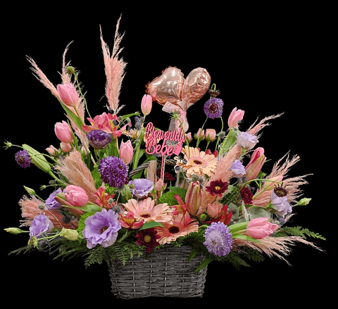 Bienvenida Coquette Nacimiento