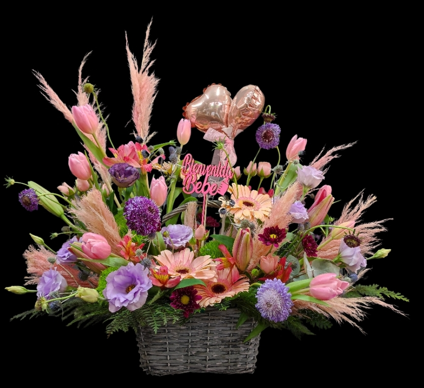 Bienvenida Coquette Nacimiento 1