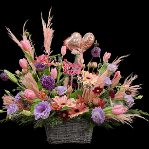 Bienvenida Coquette Nacimiento