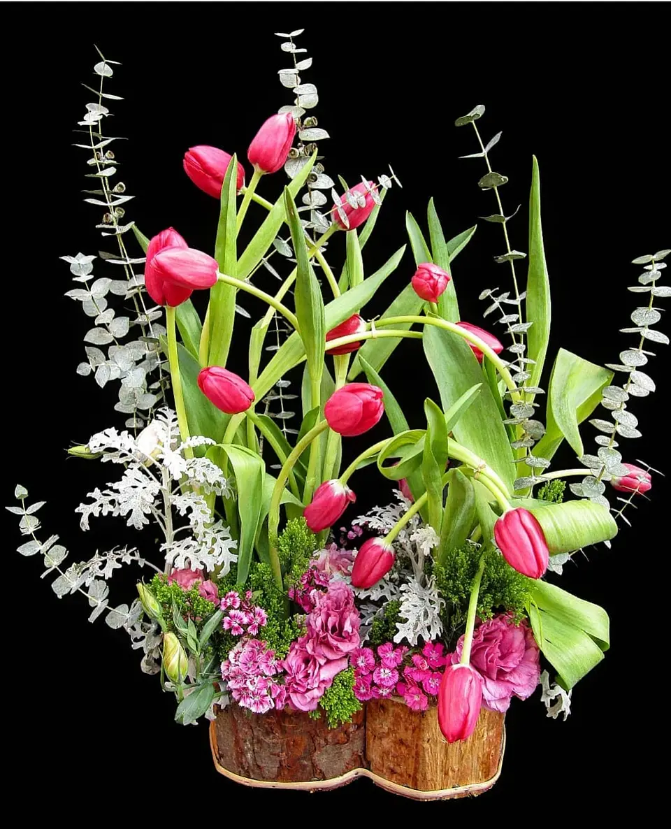 Jardín de Tulipanes 1