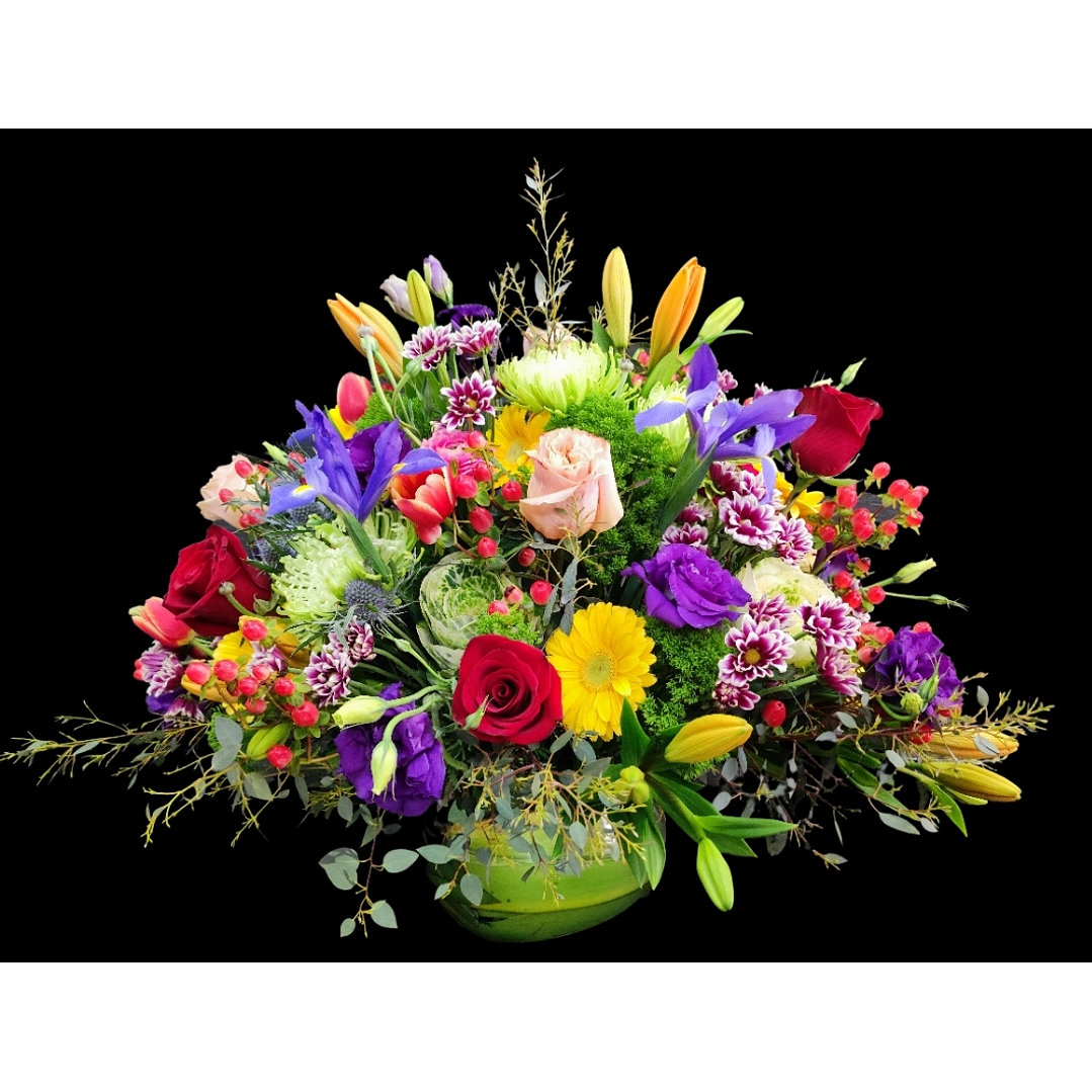 Gran pecera mixta primaveral 1