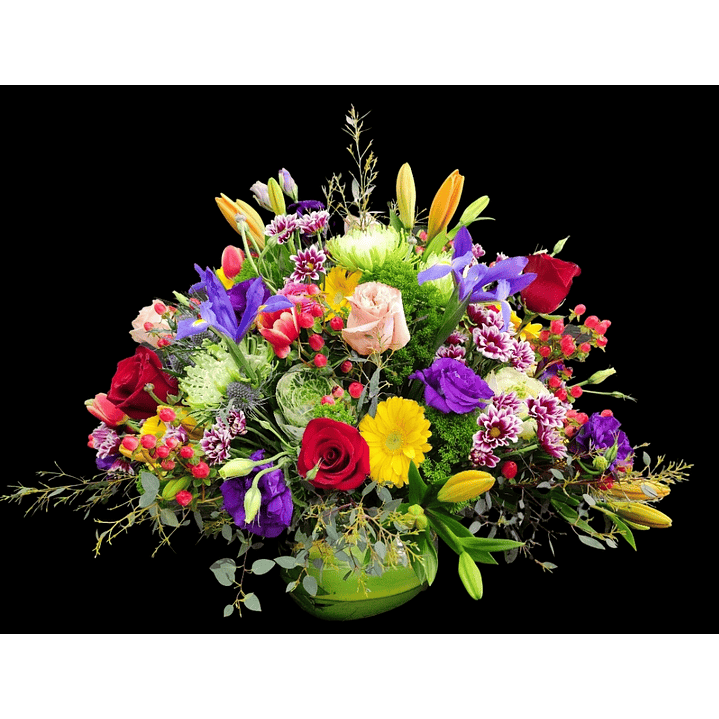 Gran pecera mixta primaveral 1