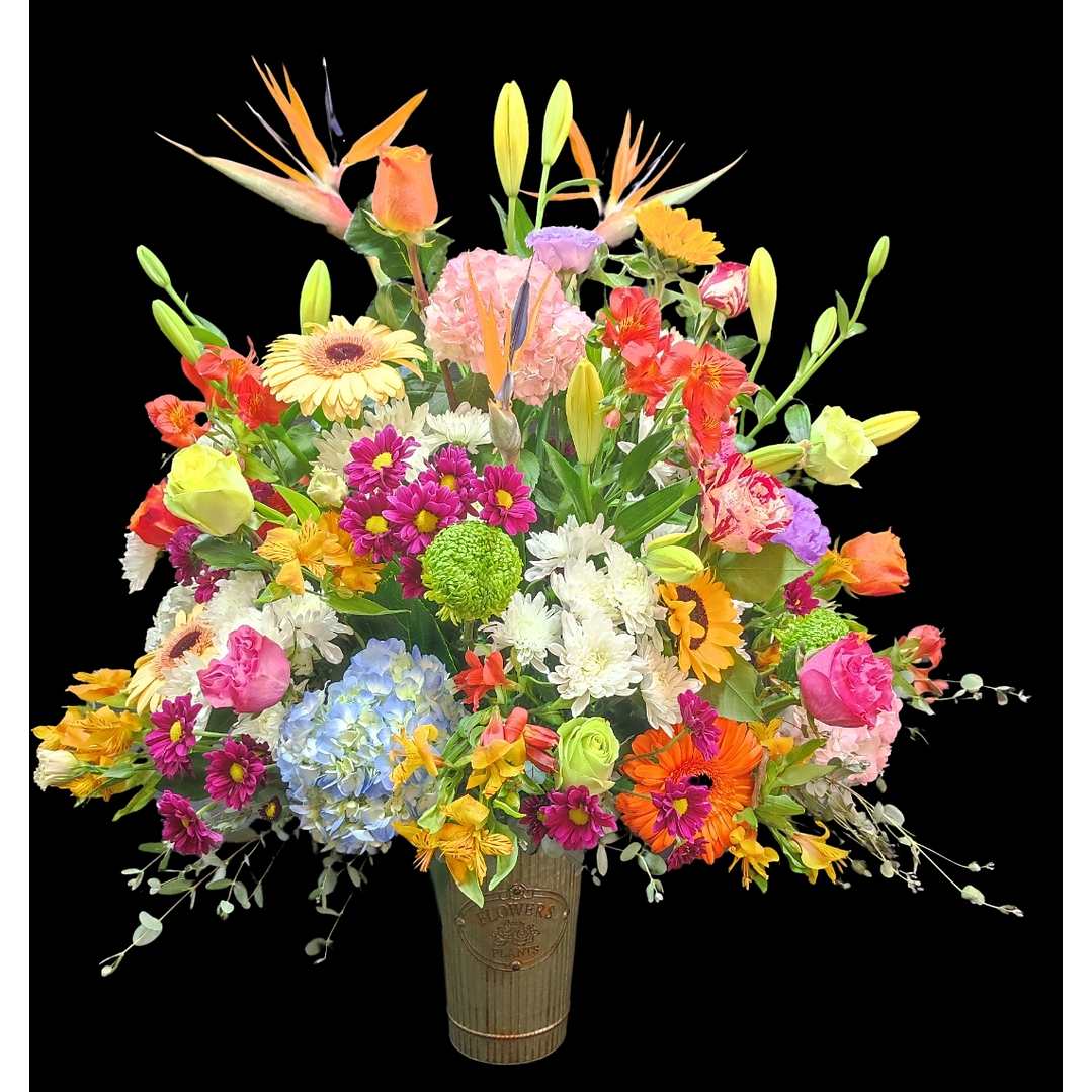 Balde primaveral de la estación  1