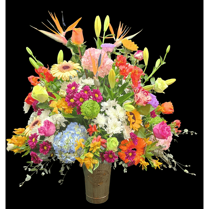 Balde primaveral de la estación  1