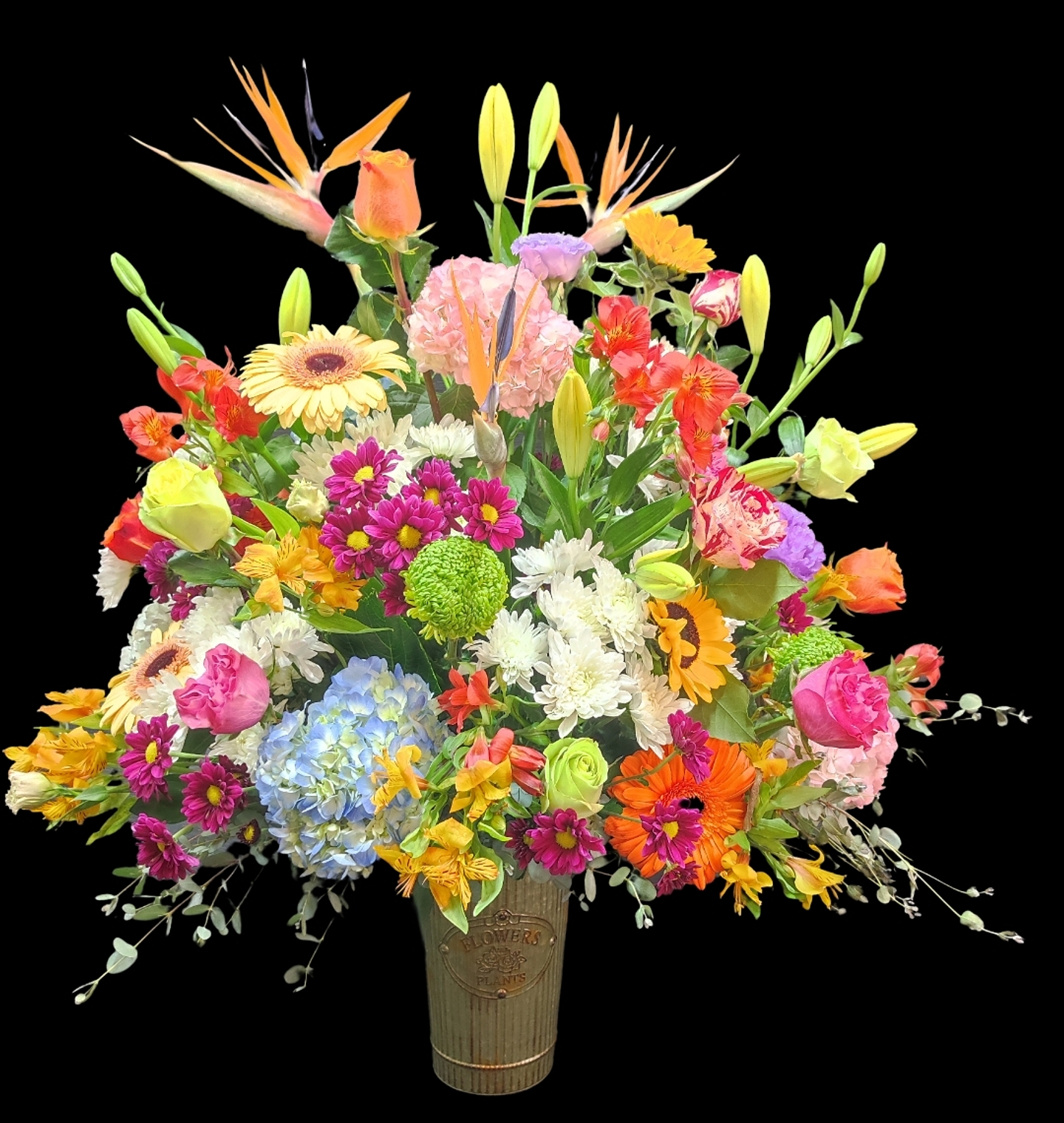 Balde primaveral de la estación  1