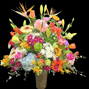 Balde primaveral de la estación 