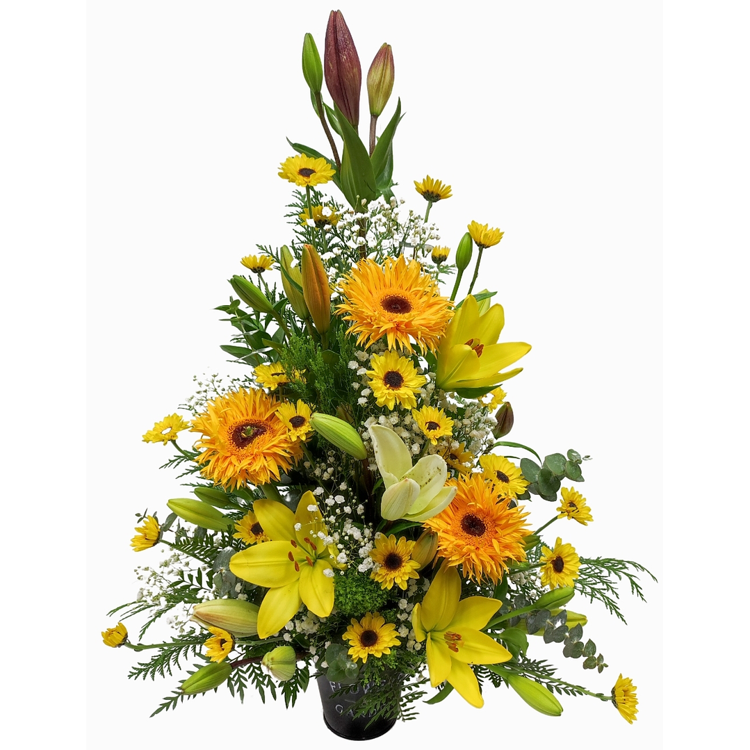 Arrimo mediano otoñal 1