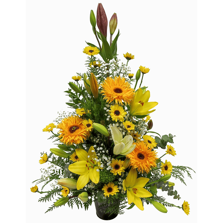 Arrimo mediano otoñal 1