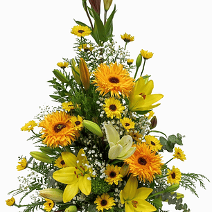 Arrimo mediano otoñal