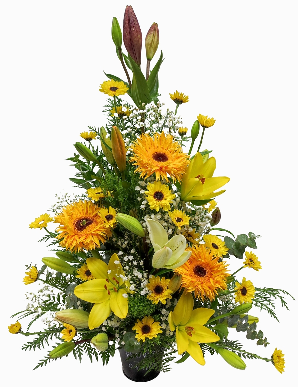 Arrimo mediano otoñal 1