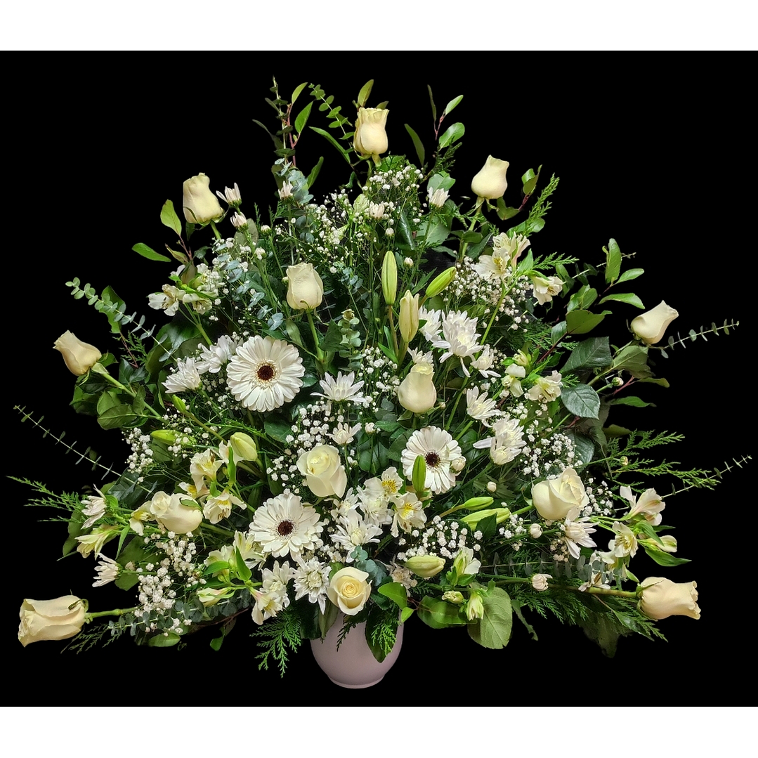 Arrimo americano blanco 1