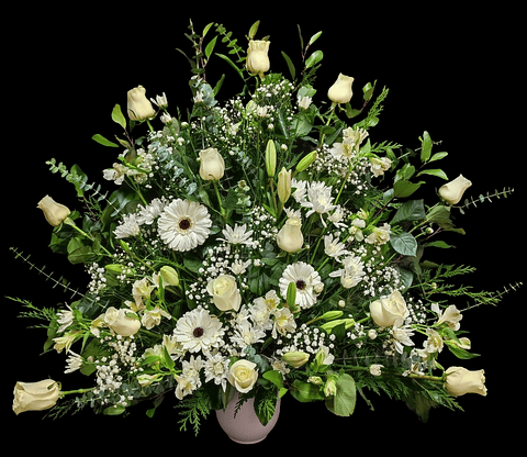 Arrimo americano blanco