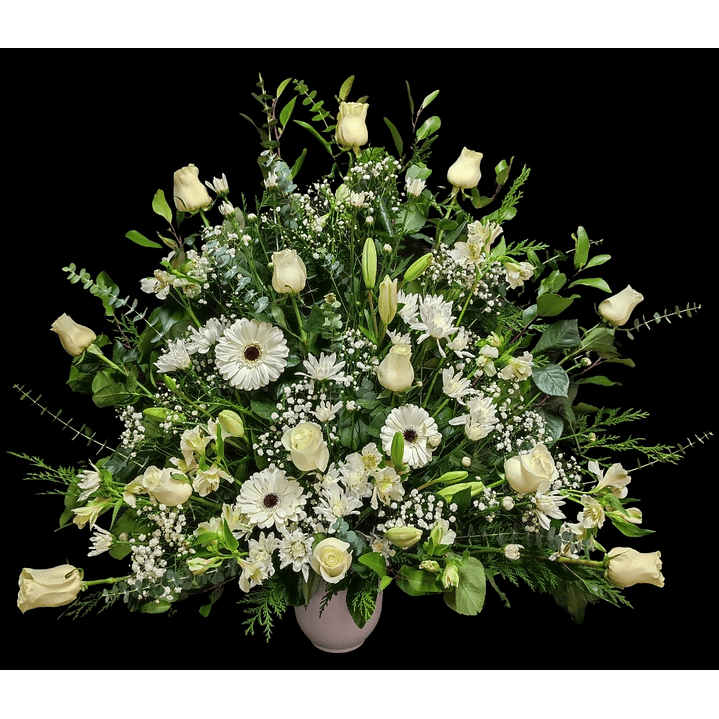 Arrimo americano blanco 1