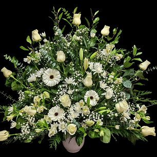 Arrimo americano blanco