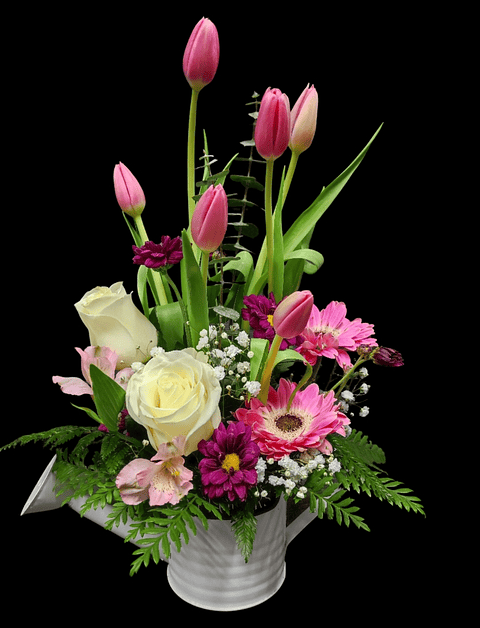 Regadera de tulipanes rosados