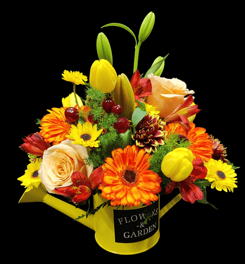 Regadera Beauty Sunset