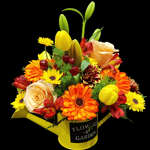 Regadera Beauty Sunset