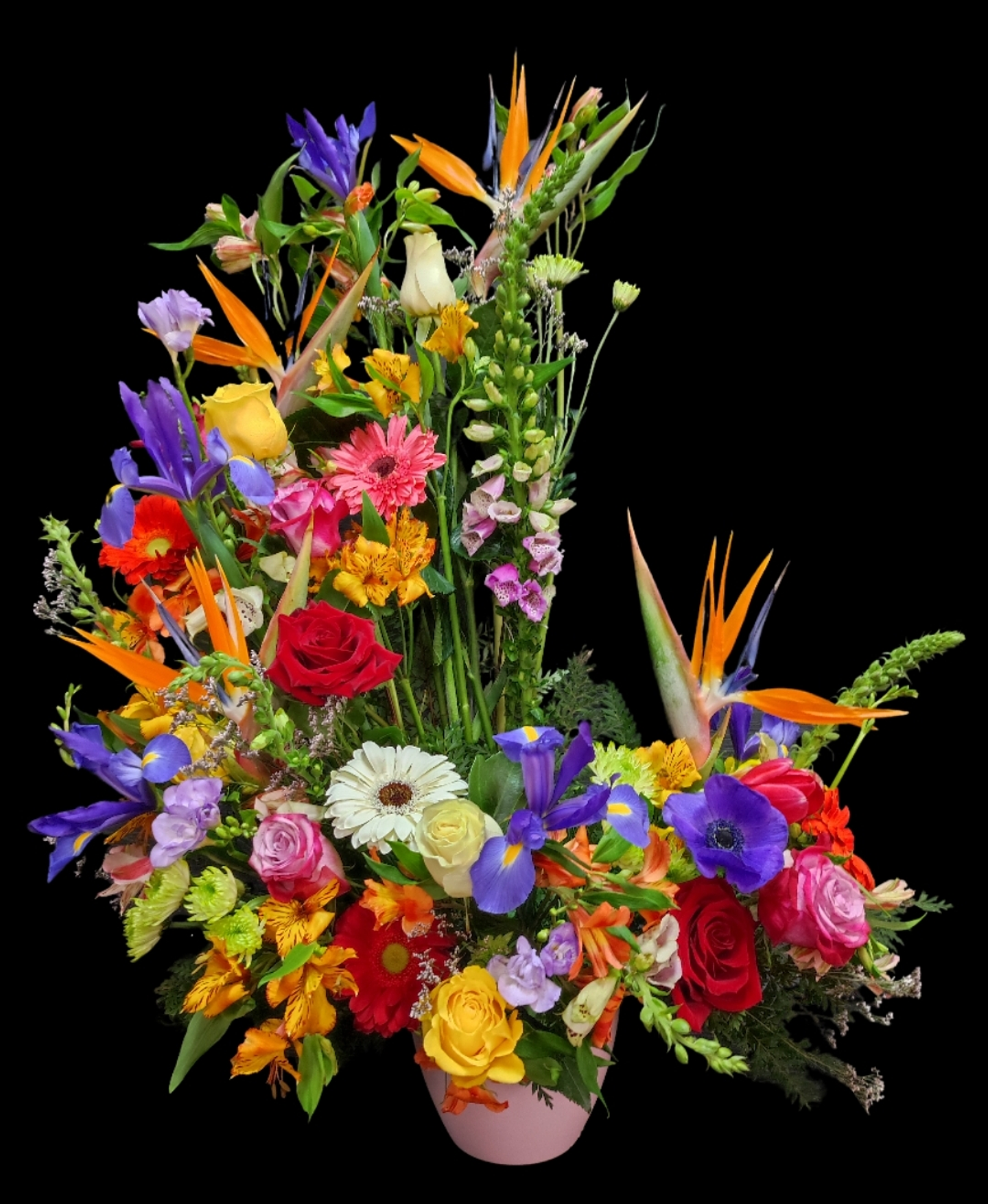 Caracola mixta  primavera 1