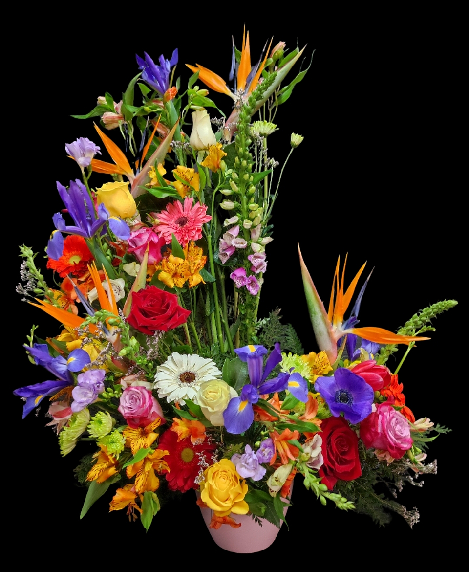 Caracola mixta  primavera 1