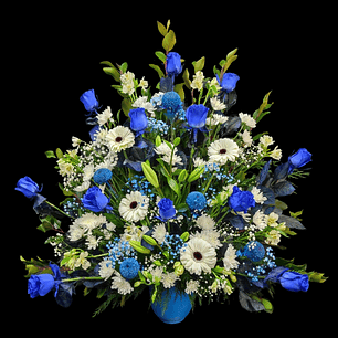 Arrimo azul y blanco