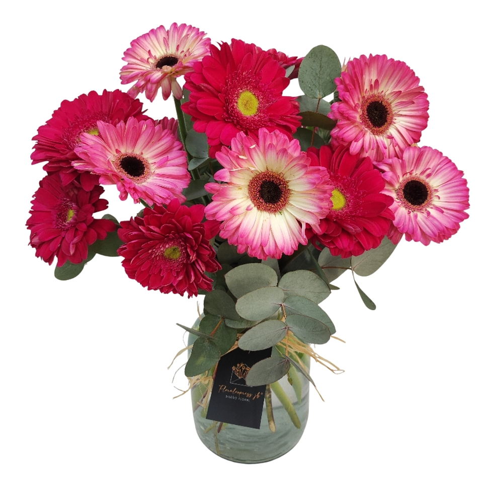 Florero de gerberas sweet woman 1
