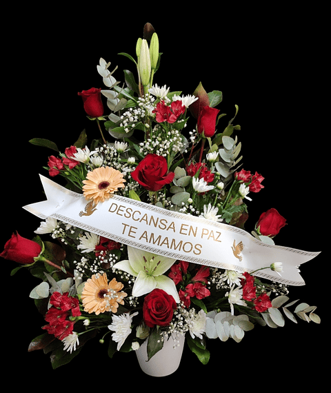 Arrimo mediano con cinta impresa 