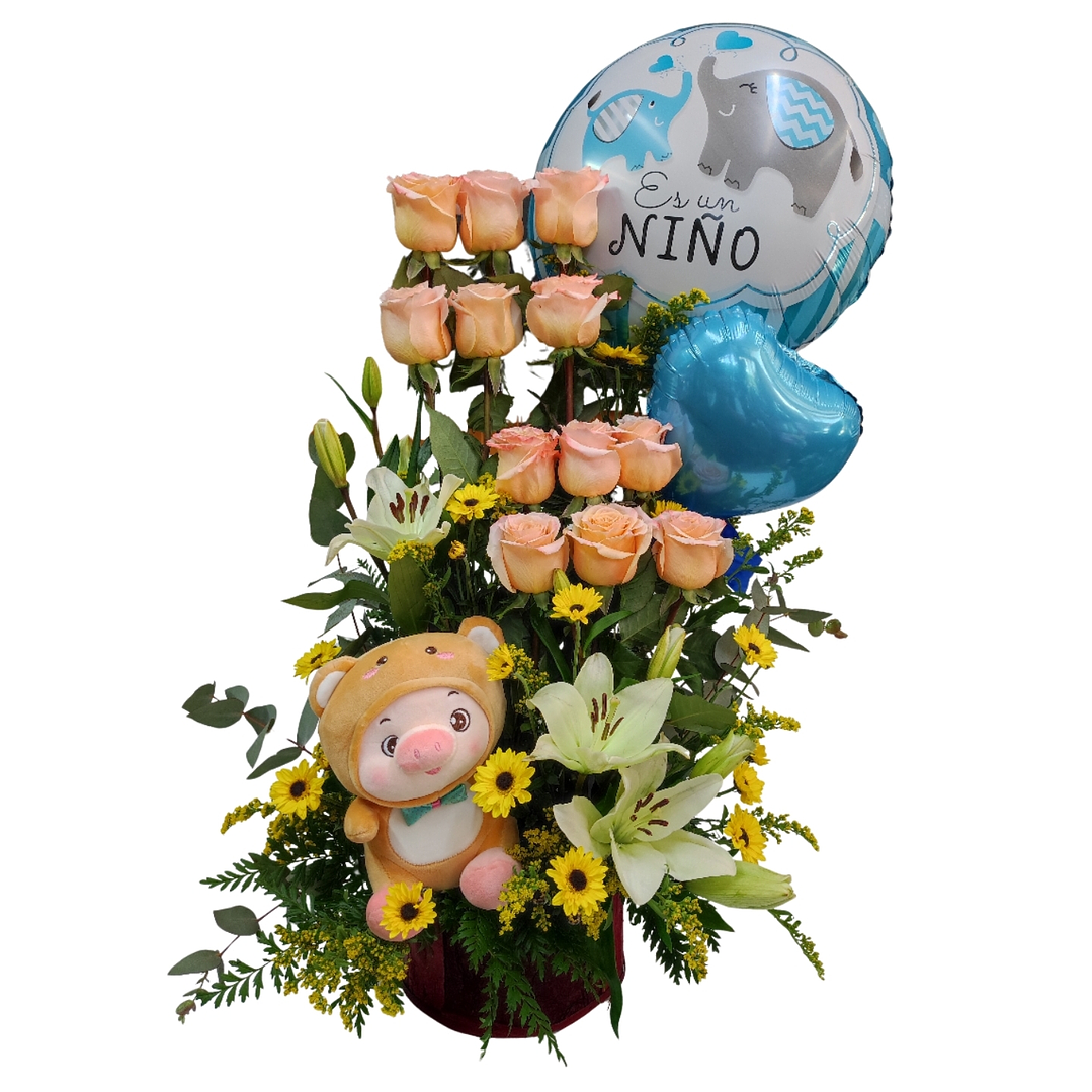 Paralelo de nacimiento  1