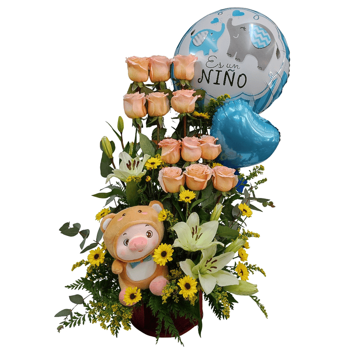 Paralelo de nacimiento  1