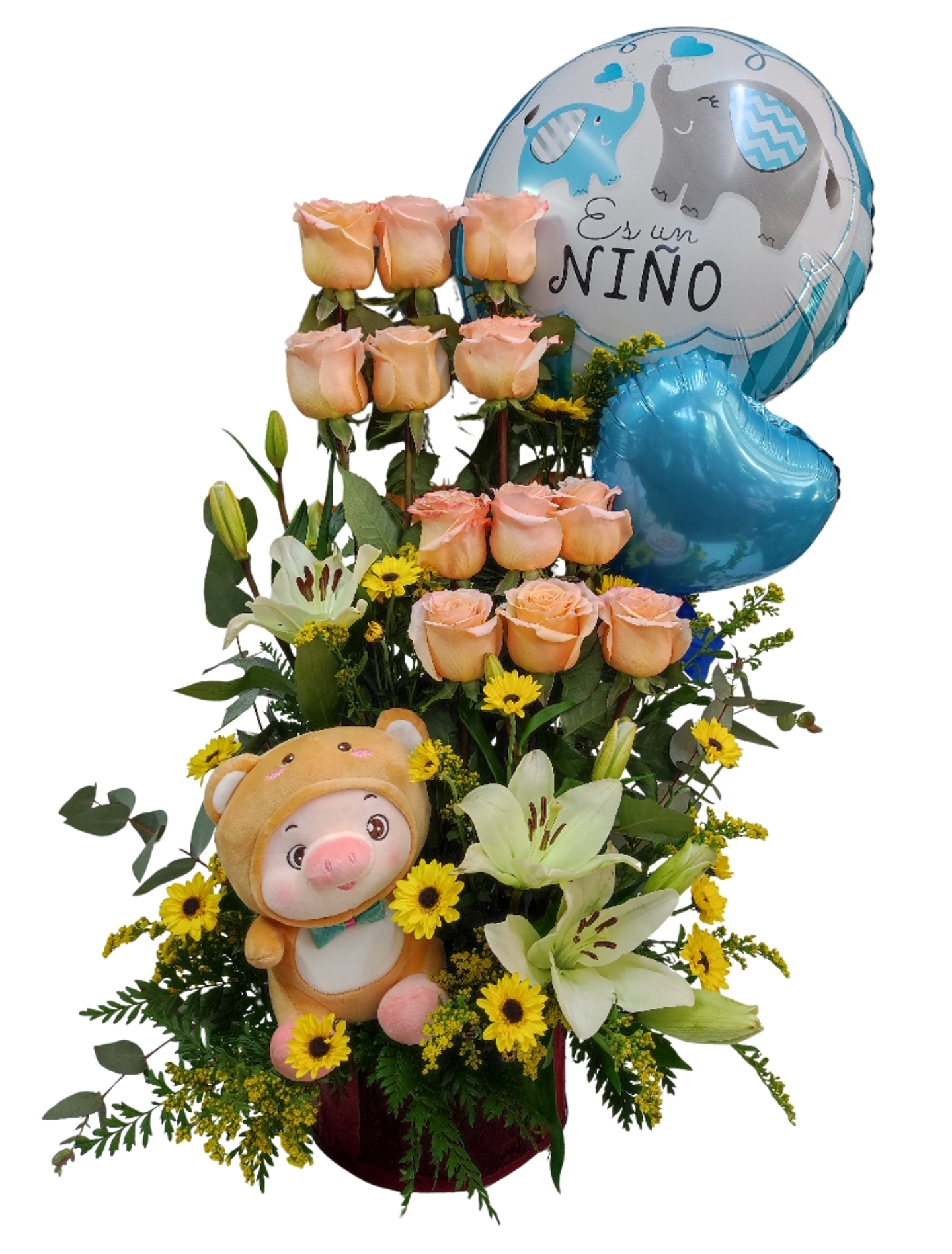 Paralelo de nacimiento  1