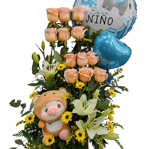 Paralelo de nacimiento 