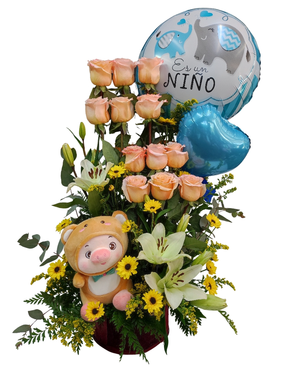 Paralelo de nacimiento  1