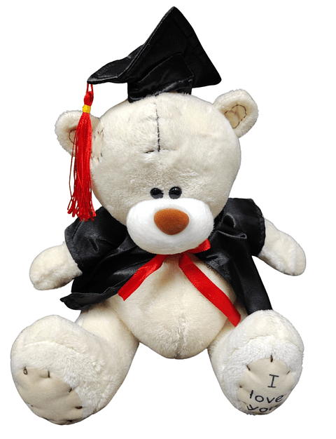 Oso Graduación blanco