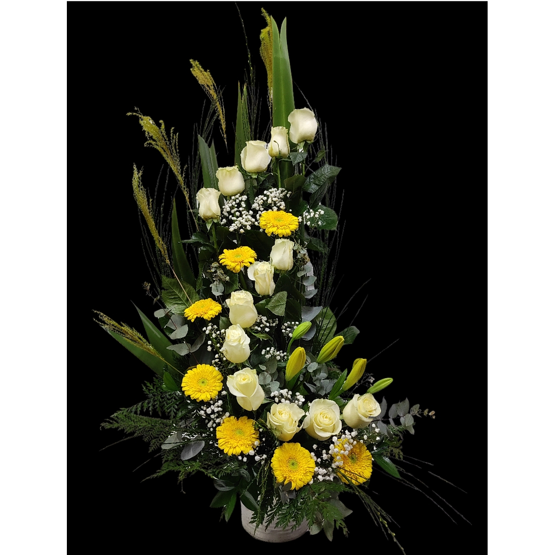 Espiral de 2 cuerpos 1