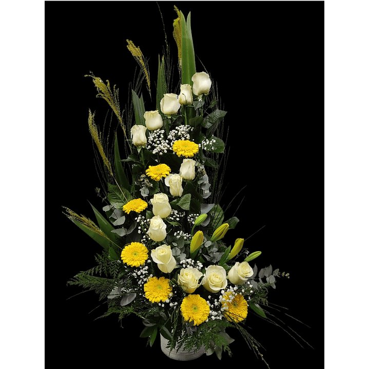 Espiral de 2 cuerpos 1