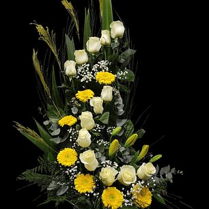 Espiral de 2 cuerpos