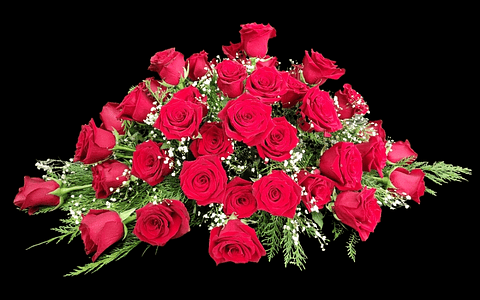 Cubre urnas de 50 rosas rojas 