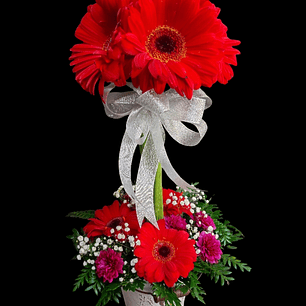 Topiario de gerberas rojas 